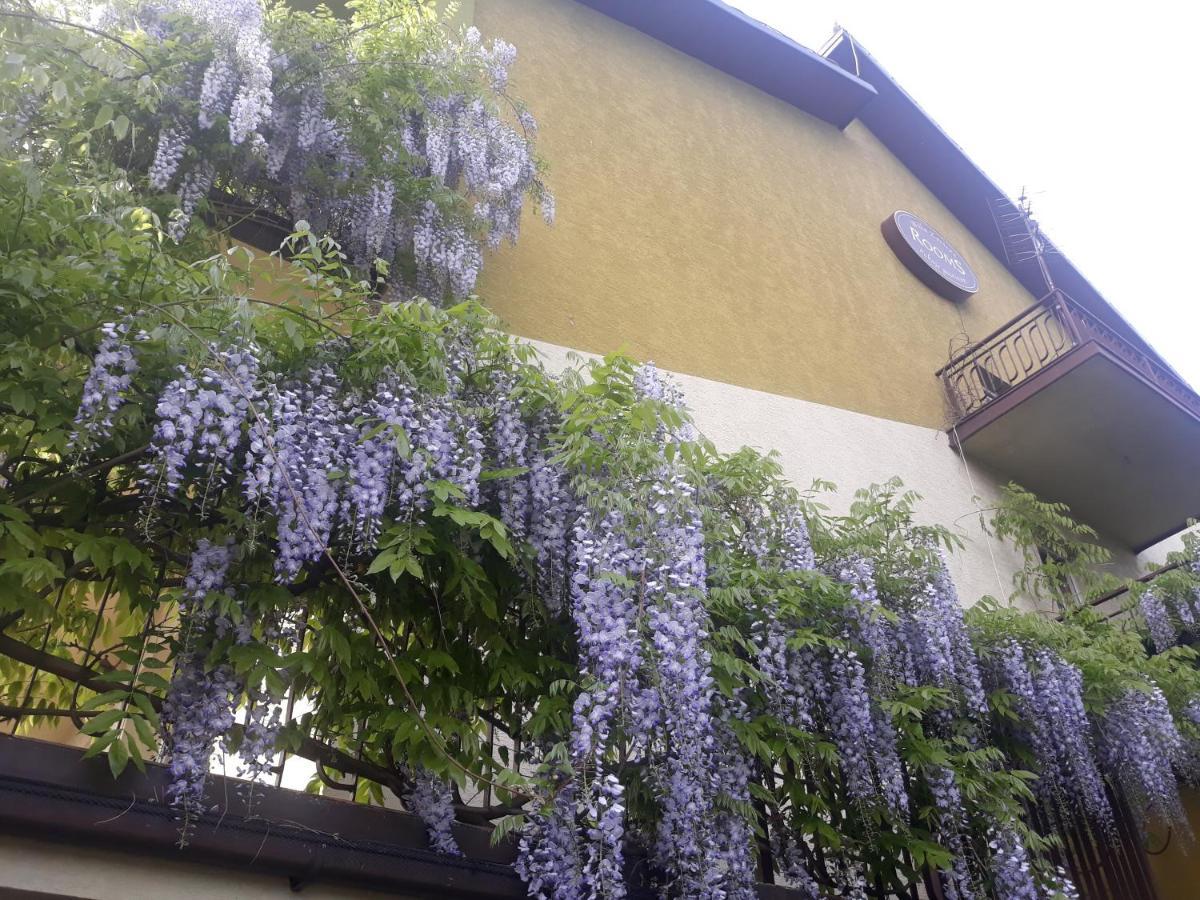 Hotel Willa Zacisze Vělička Exteriér fotografie